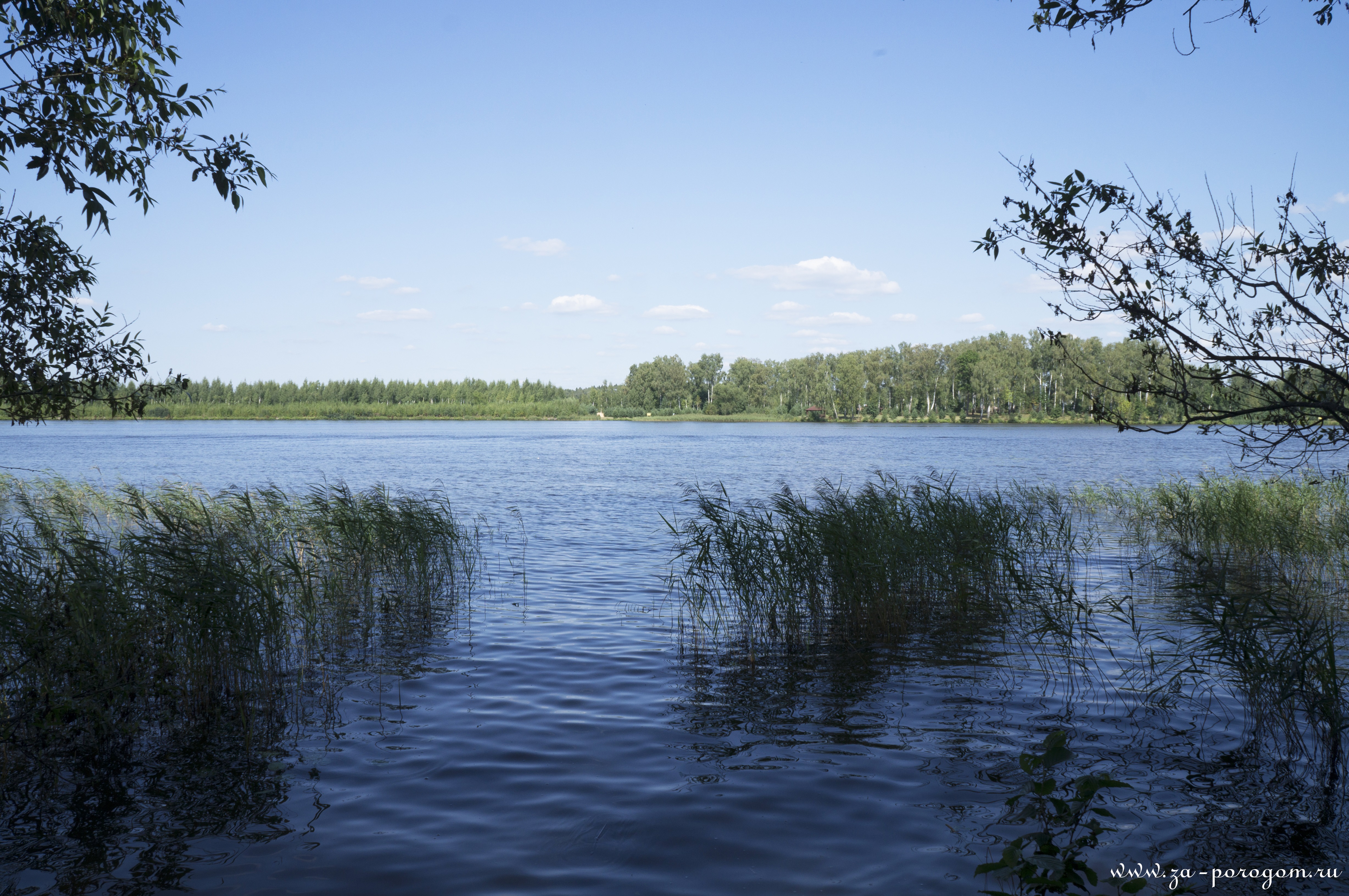 Пяловское водохранилище | Отчет с фотографиями | Места для купания и  летнего отдыха рядом с Москвой | Travel-блог 