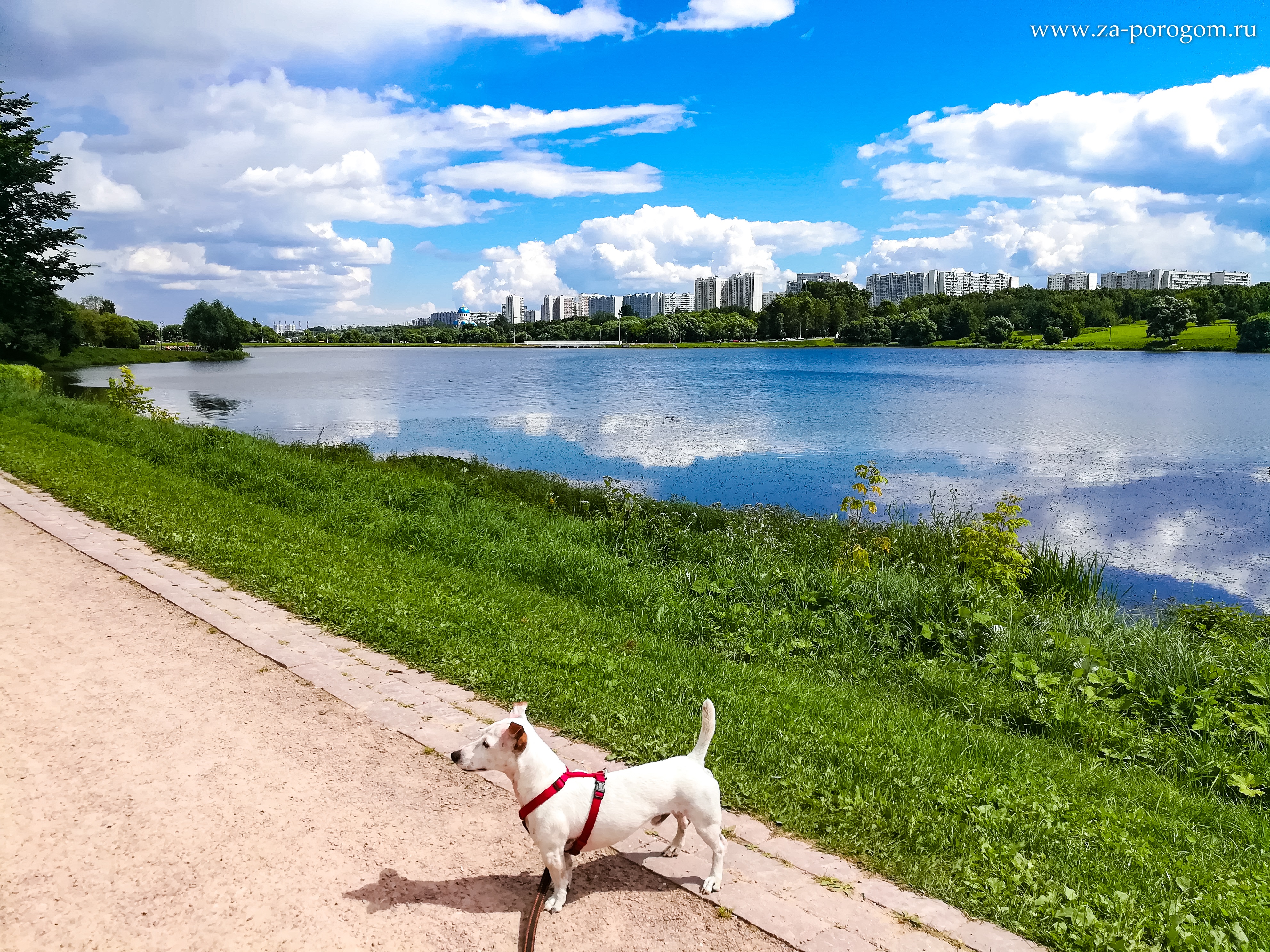 Борисовские и Царицынские пруды | Места для прогулок в Москве | Travel-блог  