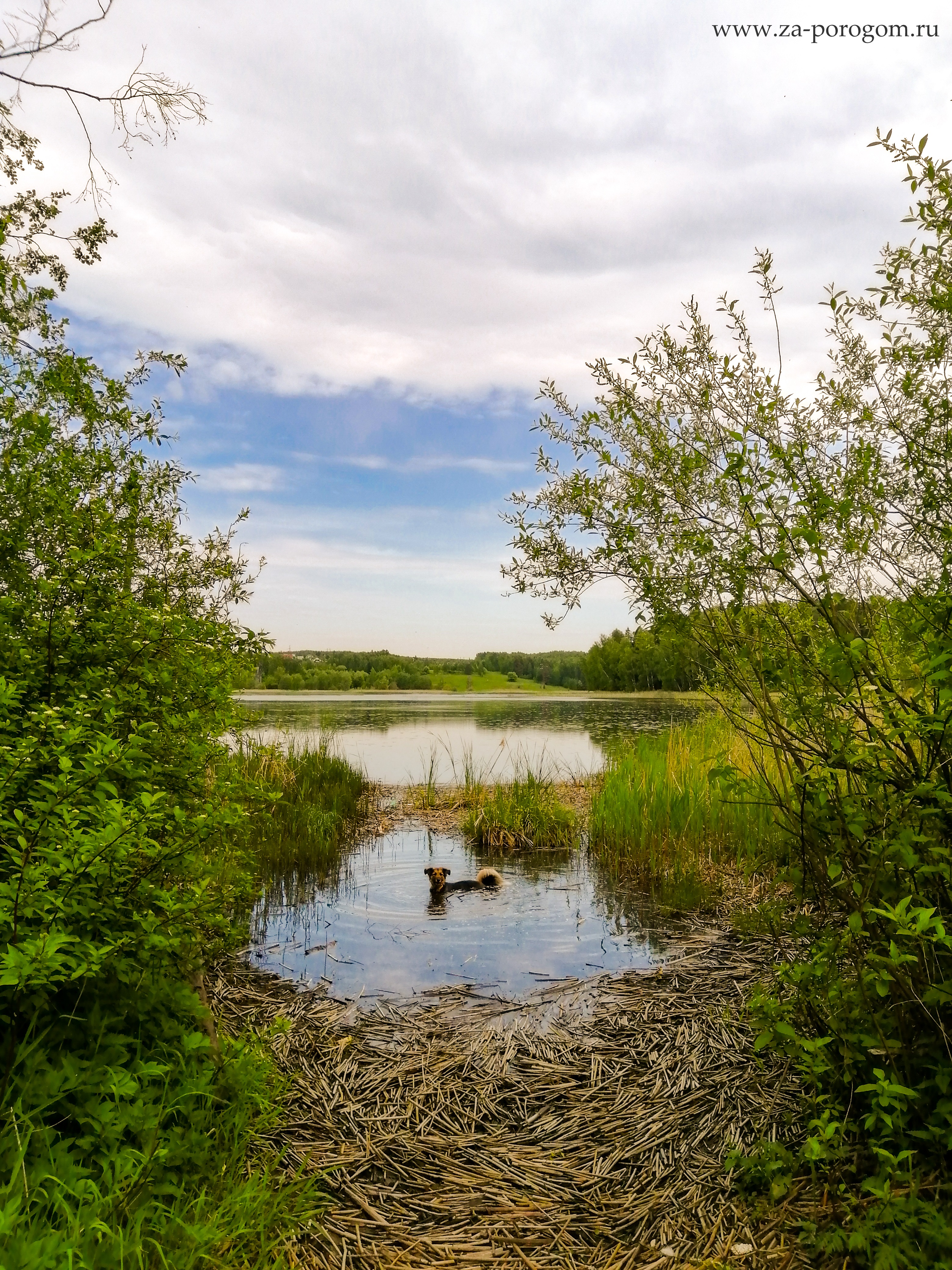 Яхромское водохранилище | Места для купания и летнего отдыха рядом с  Москвой | Travel-блог 