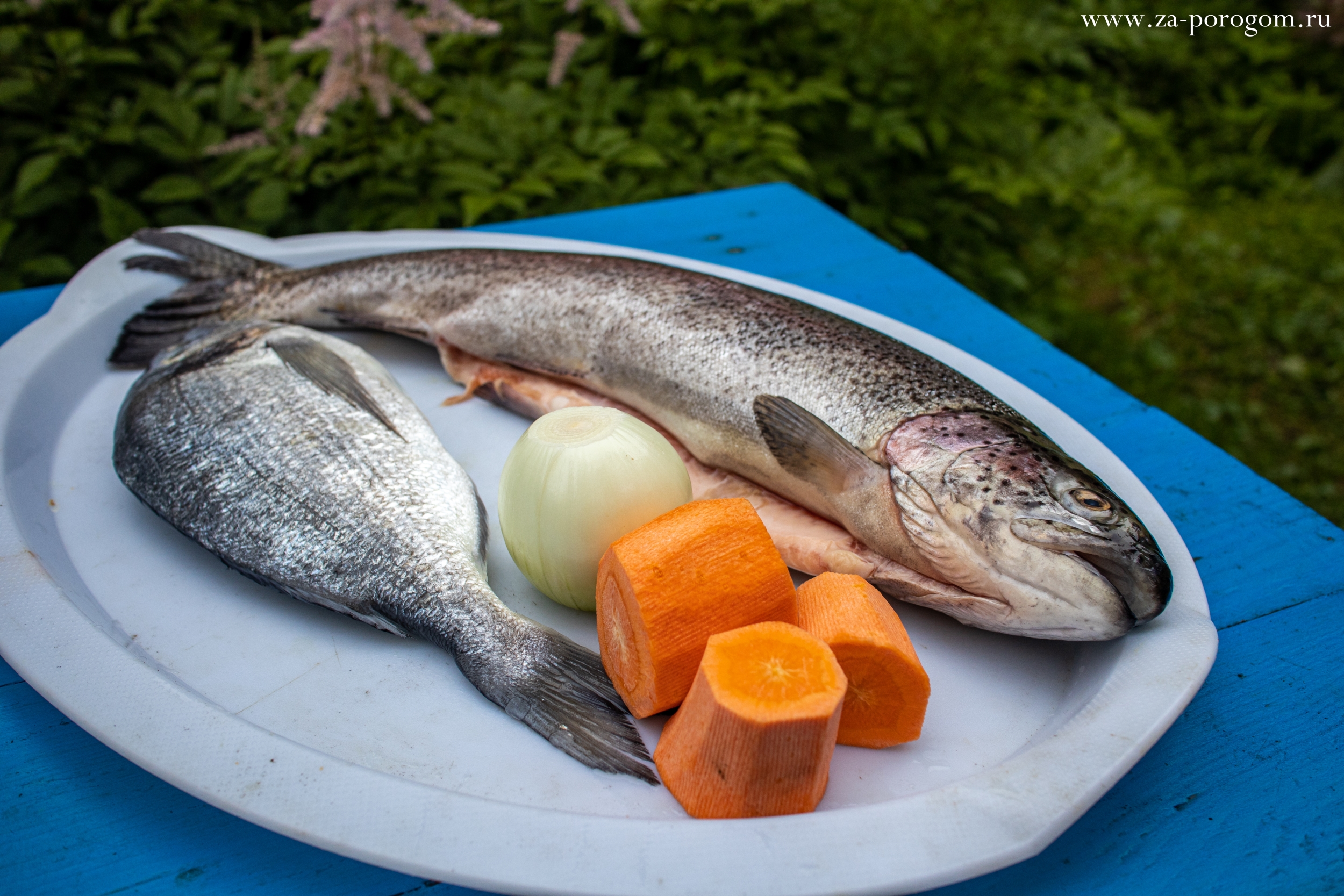 Рыба из финляндии как готовят