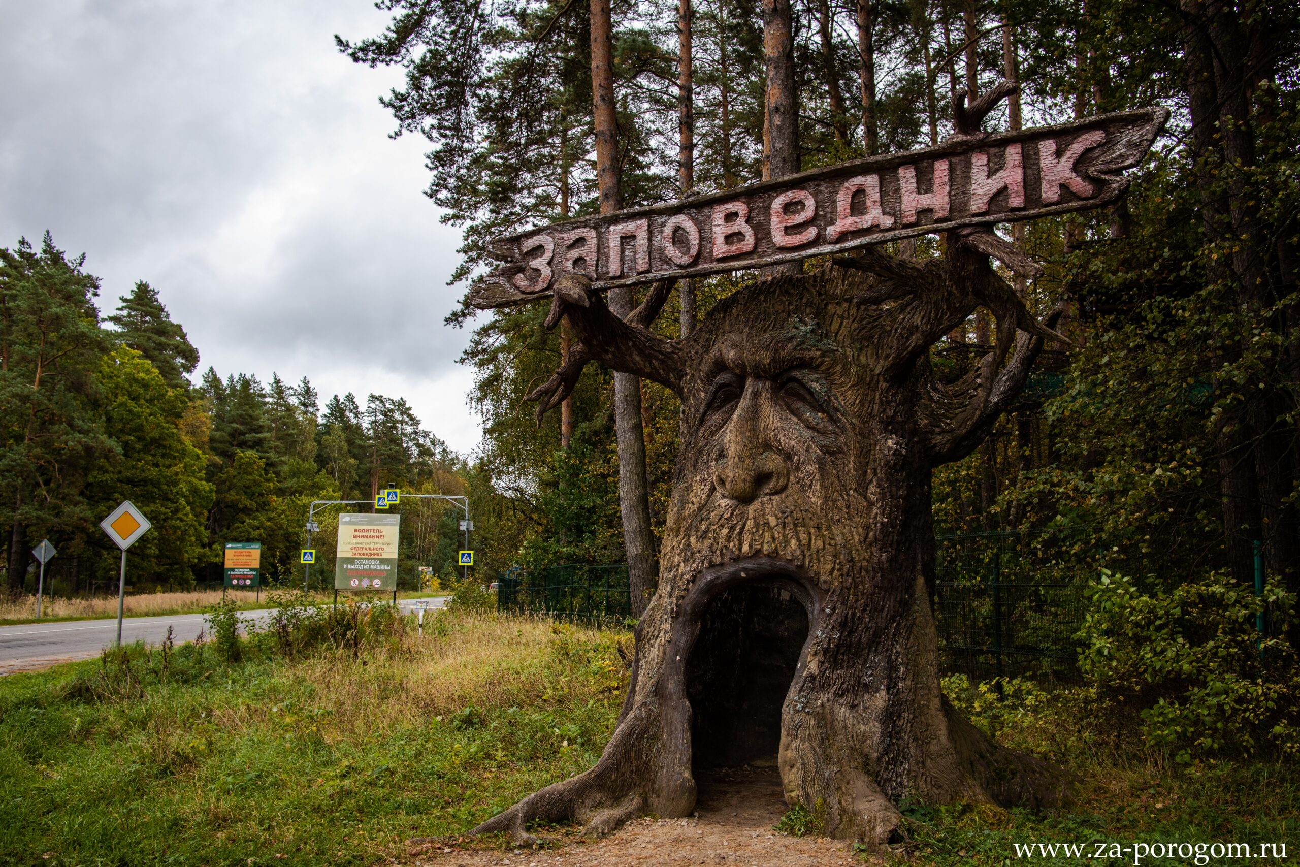 Чем знаменит приокско террасный заповедник